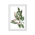 Picture of Leafy II _GroupedProduct_Rectangle_Portrait_Framed_Matted_
