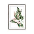 Picture of Leafy II _GroupedProduct_Rectangle_Portrait_Framed_Matted_