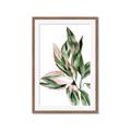 Picture of Leafy II _GroupedProduct_Rectangle_Portrait_Framed_Matted_