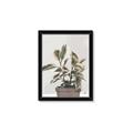 Picture of Pink Leaf House Plant _GroupedProduct_Rectangle_Portrait_Framed_Matted_
