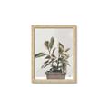 Picture of Pink Leaf House Plant _GroupedProduct_Rectangle_Portrait_Framed_Matted_