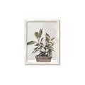 Picture of Pink Leaf House Plant _GroupedProduct_Rectangle_Portrait_Framed_Matted_