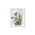 Picture of Pink Leaf House Plant _GroupedProduct_Rectangle_Portrait_Framed_Matted_