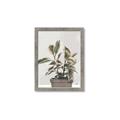 Picture of Pink Leaf House Plant _GroupedProduct_Rectangle_Portrait_Framed_Matted_