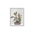 Picture of Pink Leaf House Plant _GroupedProduct_Rectangle_Portrait_Framed_Matted_