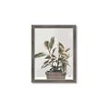 Picture of Pink Leaf House Plant _GroupedProduct_Rectangle_Portrait_Framed_Matted_