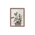 Picture of Pink Leaf House Plant _GroupedProduct_Rectangle_Portrait_Framed_Matted_