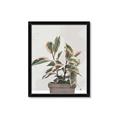 Picture of Pink Leaf House Plant _GroupedProduct_Rectangle_Portrait_Framed_Matted_