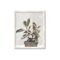 Picture of Pink Leaf House Plant _GroupedProduct_Rectangle_Portrait_Framed_Matted_