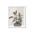 Picture of Pink Leaf House Plant _GroupedProduct_Rectangle_Portrait_Framed_Matted_