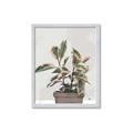 Picture of Pink Leaf House Plant _GroupedProduct_Rectangle_Portrait_Framed_Matted_