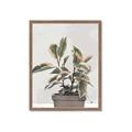 Picture of Pink Leaf House Plant _GroupedProduct_Rectangle_Portrait_Framed_Matted_