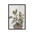 Picture of Pink Leaf House Plant _GroupedProduct_Rectangle_Portrait_Framed_Matted_