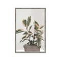 Picture of Pink Leaf House Plant _GroupedProduct_Rectangle_Portrait_Framed_Matted_