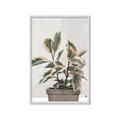 Picture of Pink Leaf House Plant _GroupedProduct_Rectangle_Portrait_Framed_Matted_