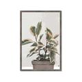 Picture of Pink Leaf House Plant _GroupedProduct_Rectangle_Portrait_Framed_Matted_