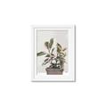 Picture of Pink Leaf House Plant _GroupedProduct_Rectangle_Portrait_Framed_Matted_