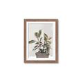 Picture of Pink Leaf House Plant _GroupedProduct_Rectangle_Portrait_Framed_Matted_