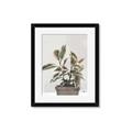 Picture of Pink Leaf House Plant _GroupedProduct_Rectangle_Portrait_Framed_Matted_