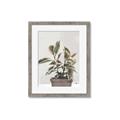Picture of Pink Leaf House Plant _GroupedProduct_Rectangle_Portrait_Framed_Matted_