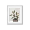 Picture of Pink Leaf House Plant _GroupedProduct_Rectangle_Portrait_Framed_Matted_