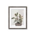 Picture of Pink Leaf House Plant _GroupedProduct_Rectangle_Portrait_Framed_Matted_
