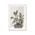 Picture of Pink Leaf House Plant _GroupedProduct_Rectangle_Portrait_Framed_Matted_