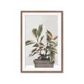 Picture of Pink Leaf House Plant _GroupedProduct_Rectangle_Portrait_Framed_Matted_