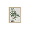 Picture of Leaf Garden _GroupedProduct_Rectangle_Portrait_Framed_Matted_