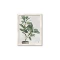 Picture of Leaf Garden _GroupedProduct_Rectangle_Portrait_Framed_Matted_