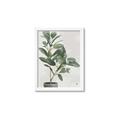 Picture of Leaf Garden _GroupedProduct_Rectangle_Portrait_Framed_Matted_
