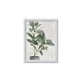 Picture of Leaf Garden _GroupedProduct_Rectangle_Portrait_Framed_Matted_