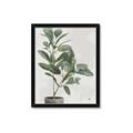 Picture of Leaf Garden _GroupedProduct_Rectangle_Portrait_Framed_Matted_