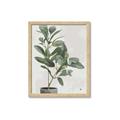 Picture of Leaf Garden _GroupedProduct_Rectangle_Portrait_Framed_Matted_