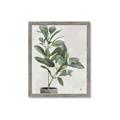 Picture of Leaf Garden _GroupedProduct_Rectangle_Portrait_Framed_Matted_