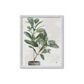 Picture of Leaf Garden _GroupedProduct_Rectangle_Portrait_Framed_Matted_