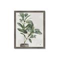 Picture of Leaf Garden _GroupedProduct_Rectangle_Portrait_Framed_Matted_