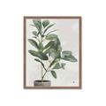 Picture of Leaf Garden _GroupedProduct_Rectangle_Portrait_Framed_Matted_
