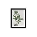 Picture of Leaf Garden _GroupedProduct_Rectangle_Portrait_Framed_Matted_