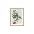 Picture of Leaf Garden _GroupedProduct_Rectangle_Portrait_Framed_Matted_