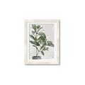 Picture of Leaf Garden _GroupedProduct_Rectangle_Portrait_Framed_Matted_