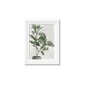 Picture of Leaf Garden _GroupedProduct_Rectangle_Portrait_Framed_Matted_