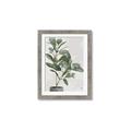 Picture of Leaf Garden _GroupedProduct_Rectangle_Portrait_Framed_Matted_