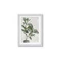 Picture of Leaf Garden _GroupedProduct_Rectangle_Portrait_Framed_Matted_