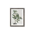 Picture of Leaf Garden _GroupedProduct_Rectangle_Portrait_Framed_Matted_