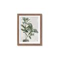 Picture of Leaf Garden _GroupedProduct_Rectangle_Portrait_Framed_Matted_