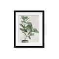 Picture of Leaf Garden _GroupedProduct_Rectangle_Portrait_Framed_Matted_