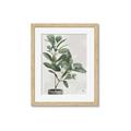 Picture of Leaf Garden _GroupedProduct_Rectangle_Portrait_Framed_Matted_
