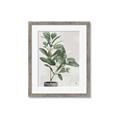 Picture of Leaf Garden _GroupedProduct_Rectangle_Portrait_Framed_Matted_