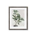 Picture of Leaf Garden _GroupedProduct_Rectangle_Portrait_Framed_Matted_